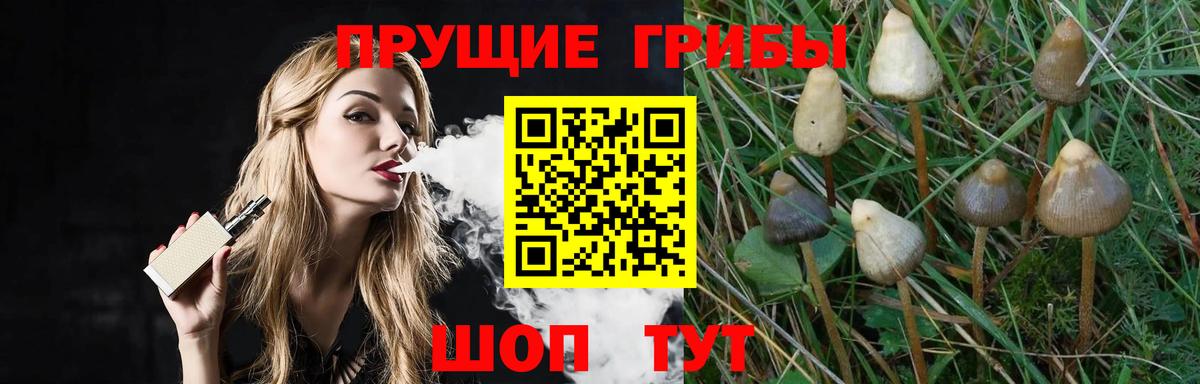Красноармейск  Галлюциногенные грибы GOLDEN TEACHER  где найти   Псилоцибиновые грибы прущие грибы  Вход с VPN 